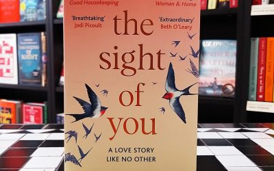 Book Review: The Sight of You by Holly Miller